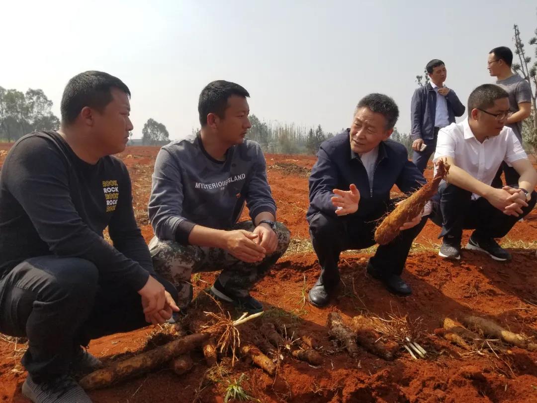 FDE740F93D962E8306716C93921_C23194AA_1D2FD.jpg?e= 918博天堂(中国区)官方网站